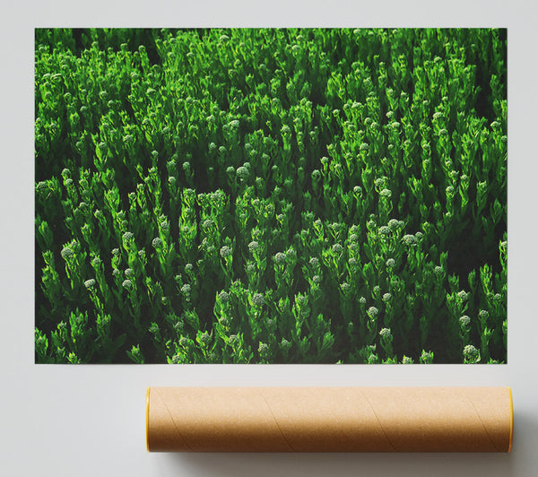Emerald Green Fields Giclee Print