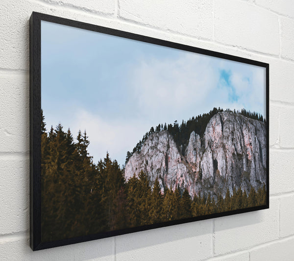 Gray Cliffs And Pines