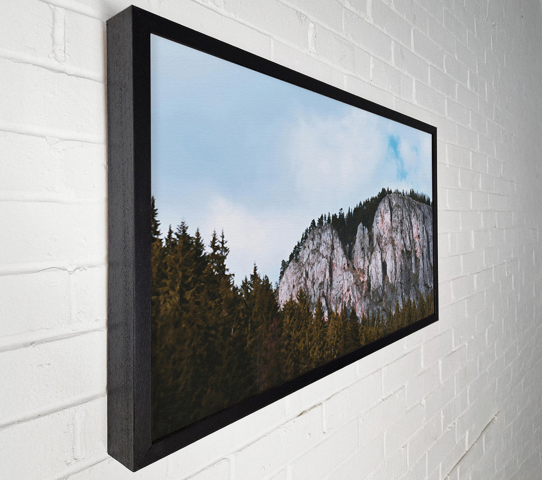  A Canvas Print of Gray Cliffs And Pines Canvas Print