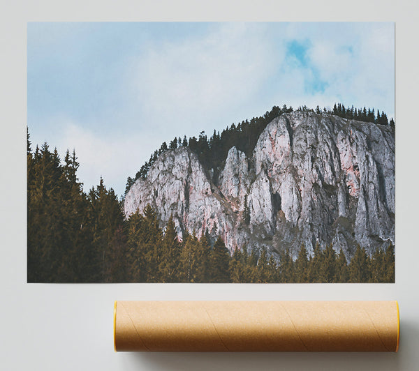Gray Cliffs And Pines Print
