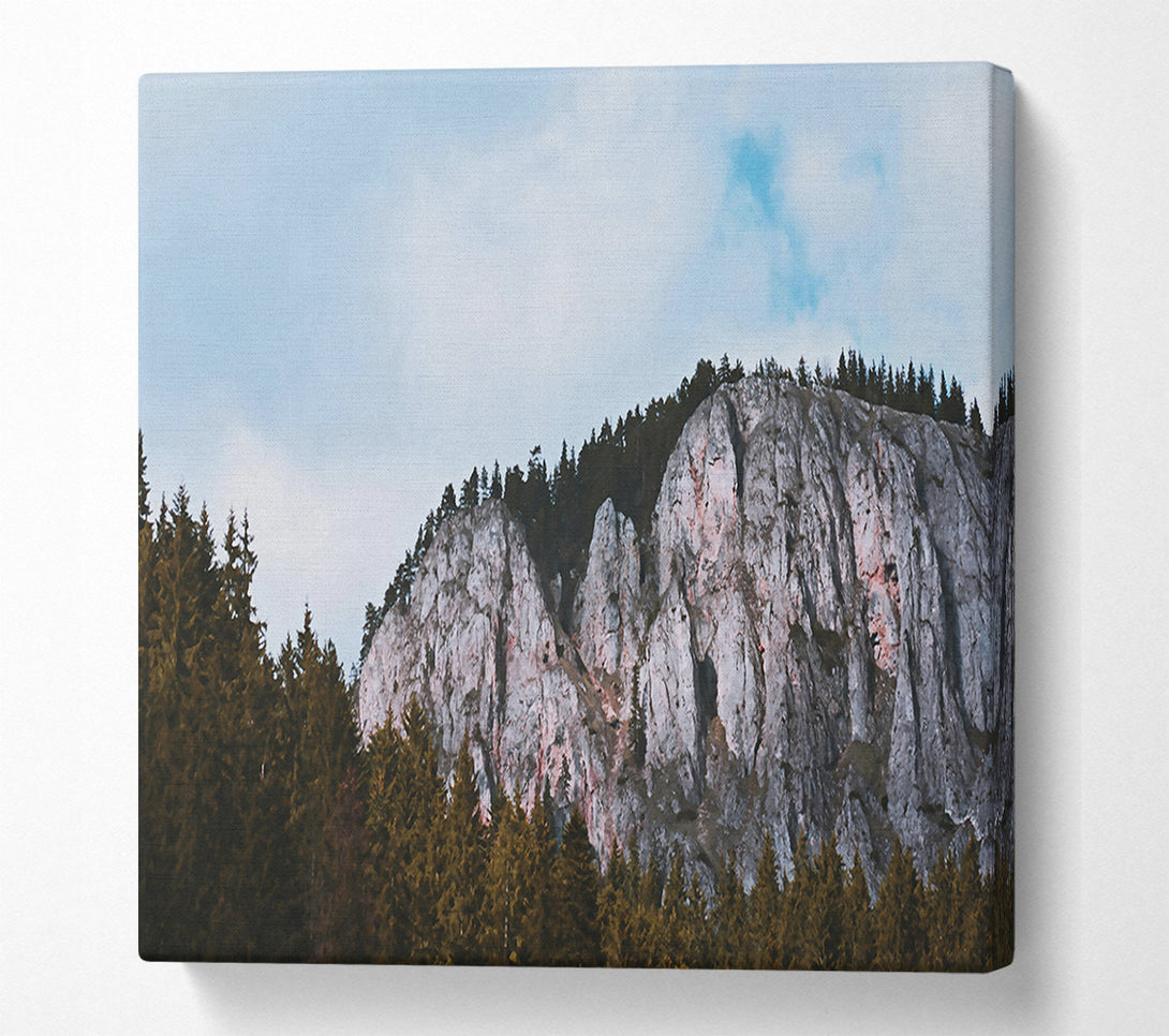  A Canvas Print of Gray Cliffs And Pines Canvas Print