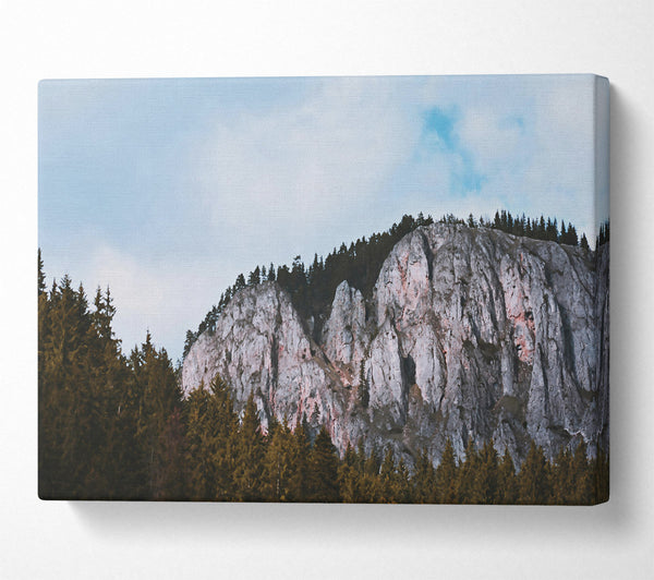  A Canvas Print of Gray Cliffs And Pines Canvas Print