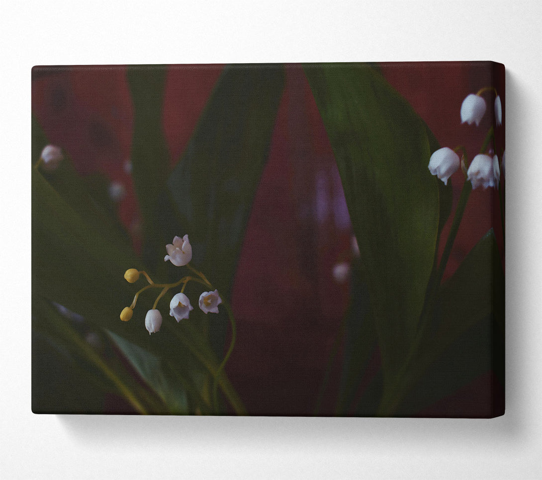  A Canvas Print of Burgundy Lily Blooms Canvas Art