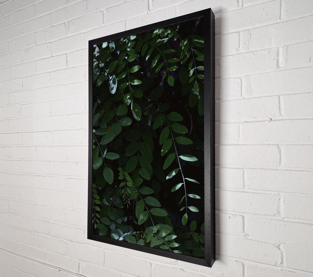  A Canvas Print of Emerald Green Canopy Canvas Wall Art