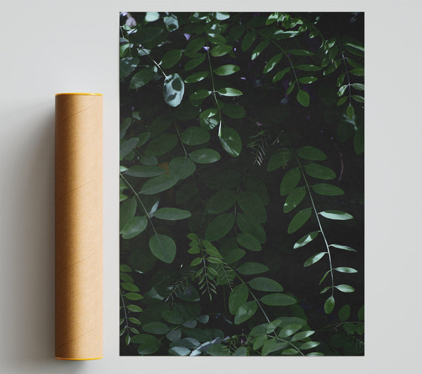 Emerald Green Canopy Poster