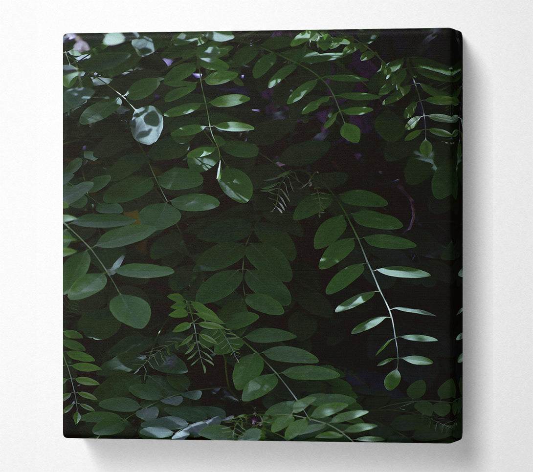  A Canvas Print of Emerald Green Canopy Canvas Wall Art