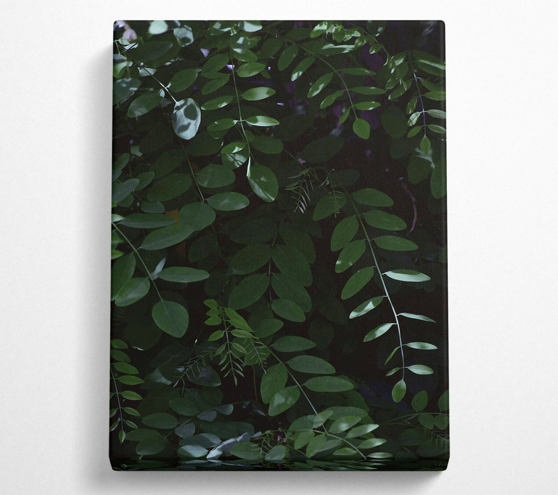  A Canvas Print of Emerald Green Canopy Canvas Wall Art