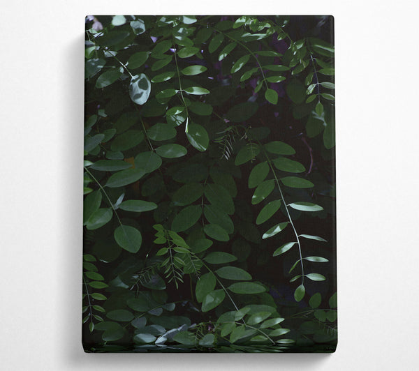  A Canvas Print of Emerald Green Canopy Canvas Wall Art