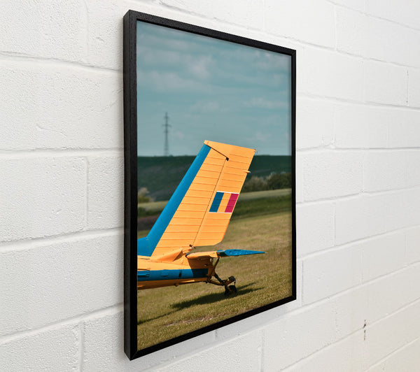 Yellow Plane Tail