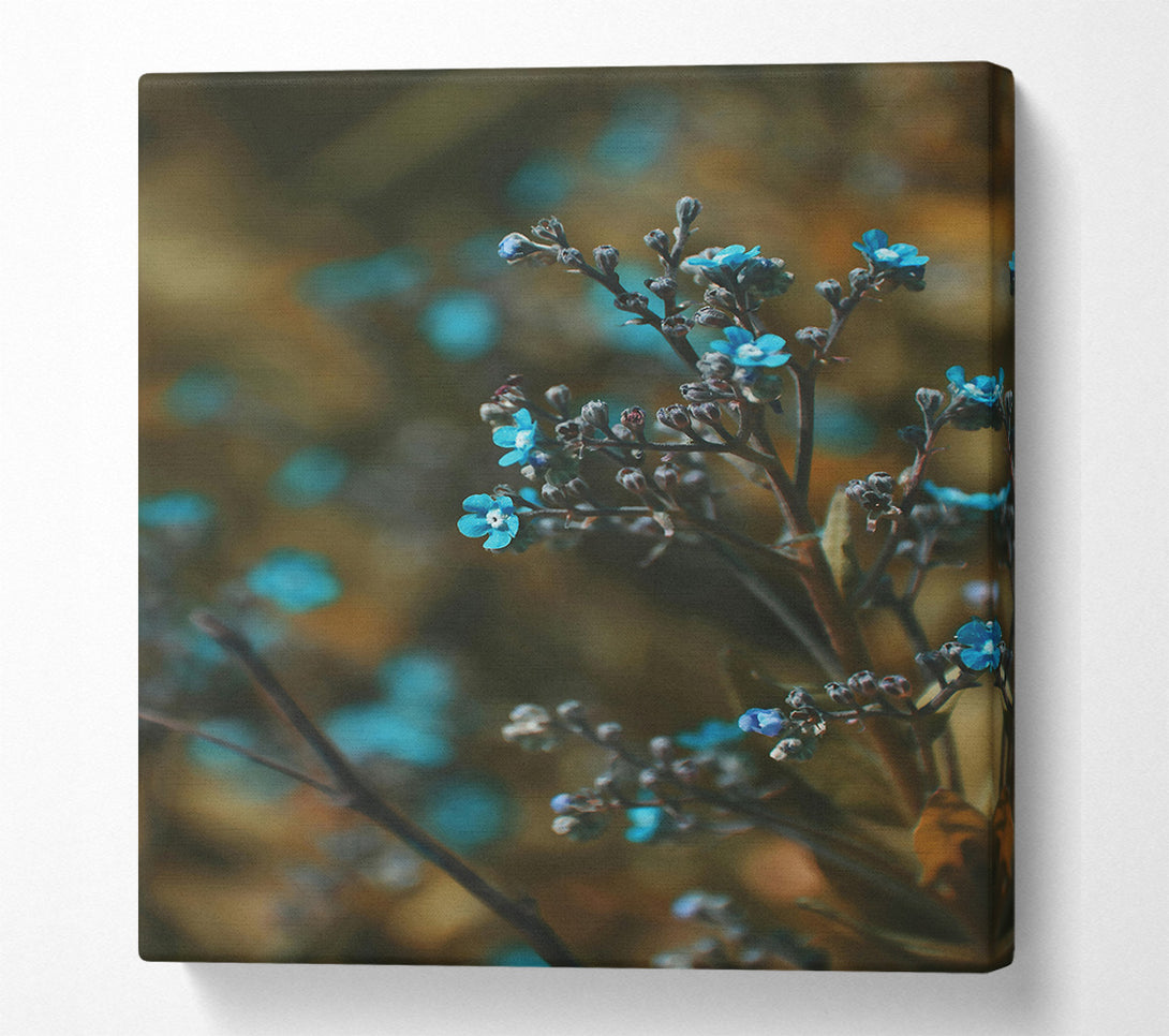  A Canvas Print of Azure Branch Blooms Canvas Art