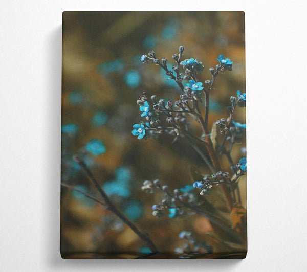  A Canvas Print of Azure Branch Blooms Canvas Art