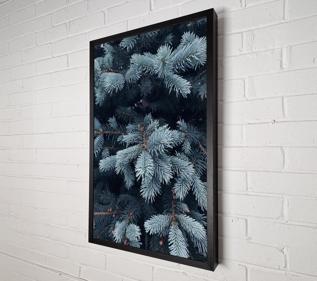  A Canvas Print of Powder Blue Sprigs Canvas Art