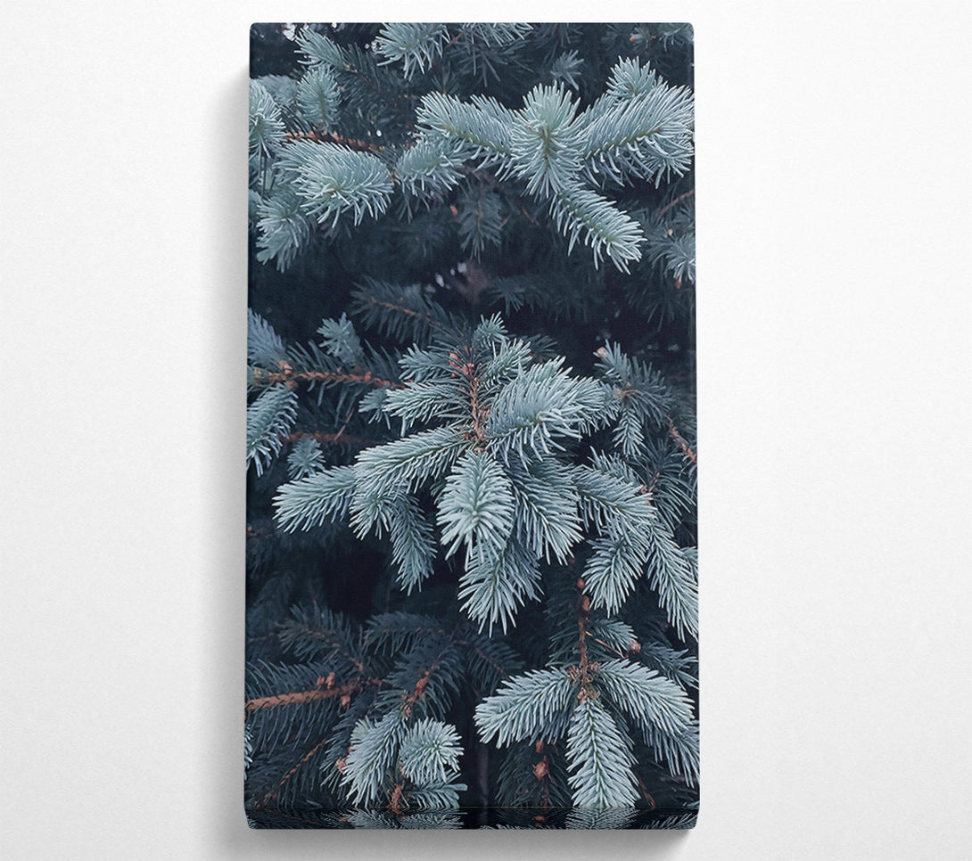  A Canvas Print of Powder Blue Sprigs Canvas Art