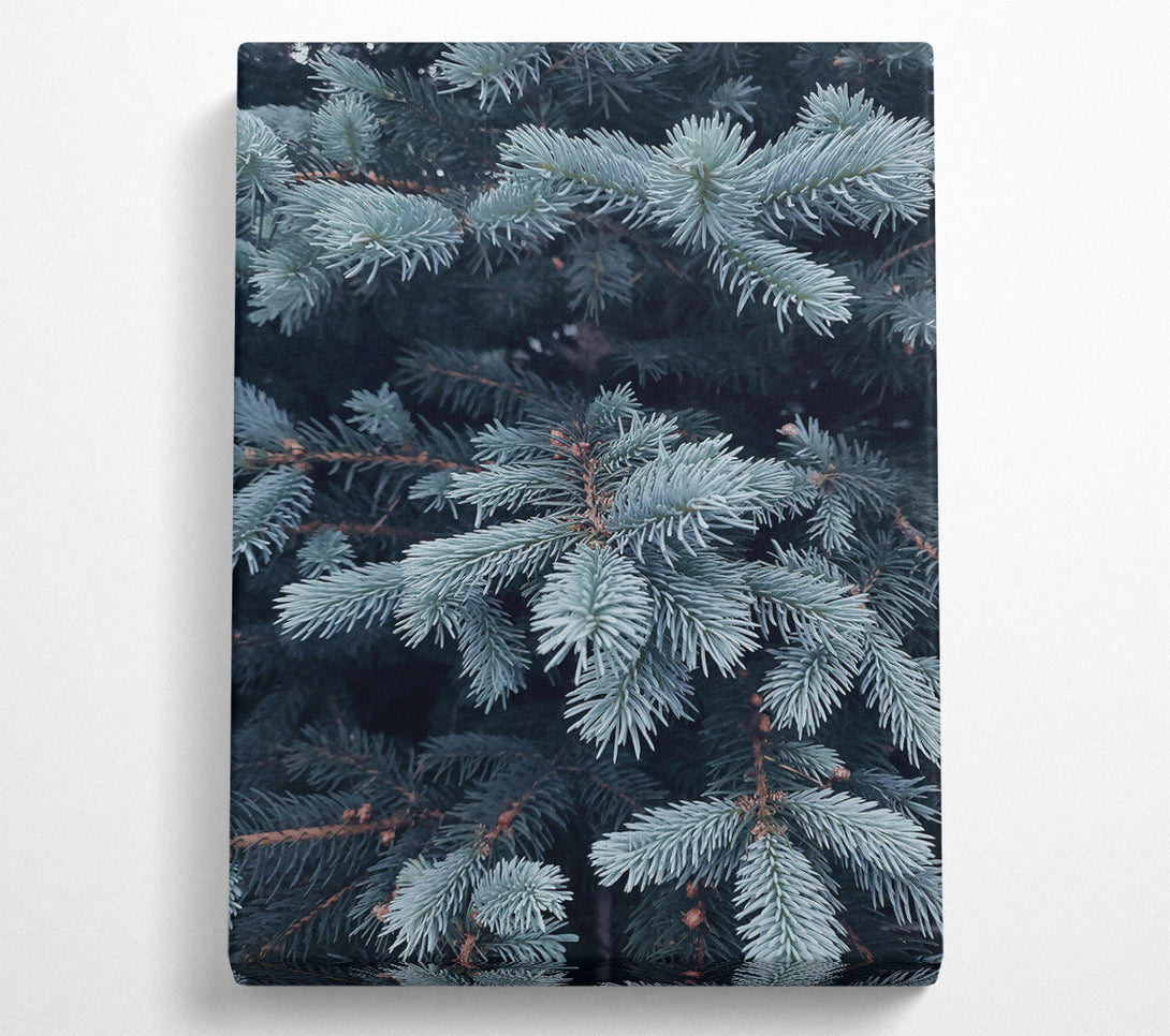  A Canvas Print of Powder Blue Sprigs Canvas Art