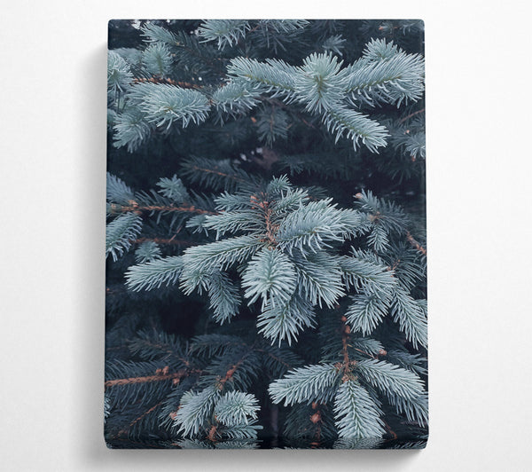  A Canvas Print of Powder Blue Sprigs Canvas Art