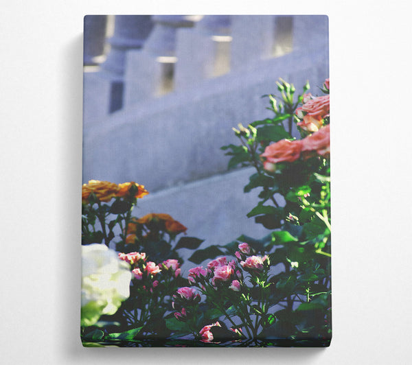  A Canvas Print of Pink Roses In Bloom Canvas Wall Art