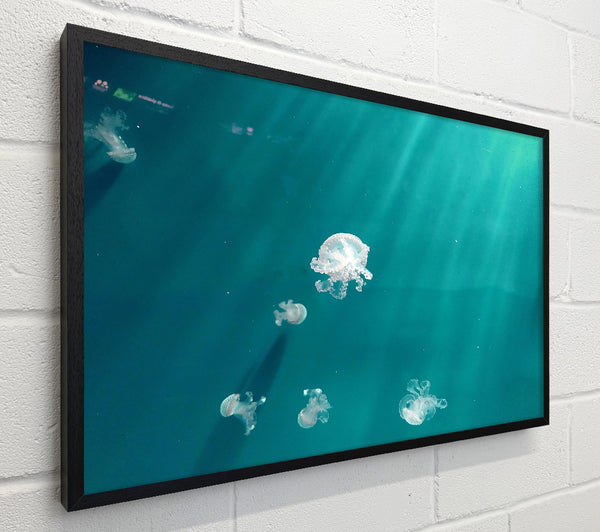 Teal Ocean Dreams