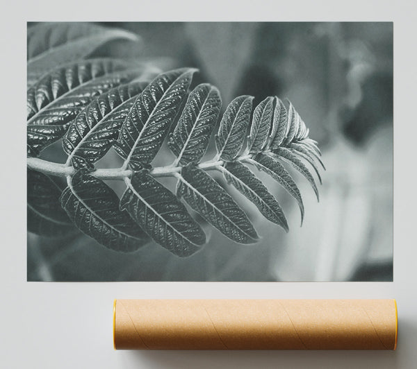 Gray Leaf Branch Print