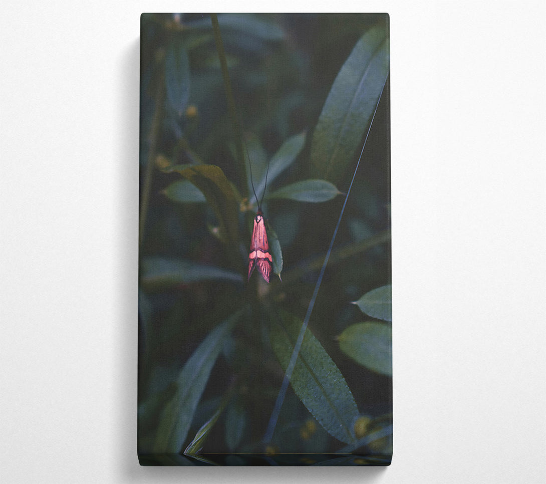  A Canvas Print of Pink Moth In The Green Canvas Art