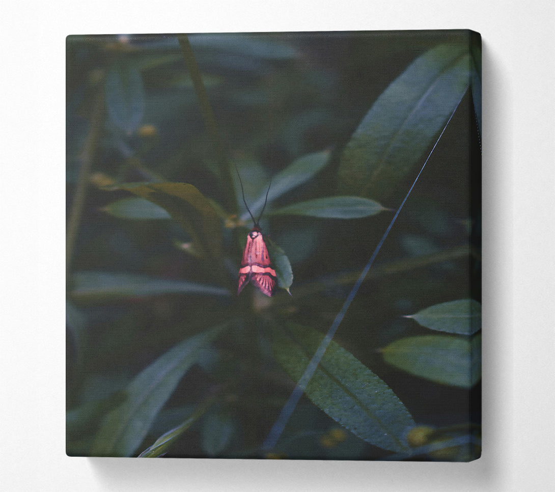  A Canvas Print of Pink Moth In The Green Canvas Art