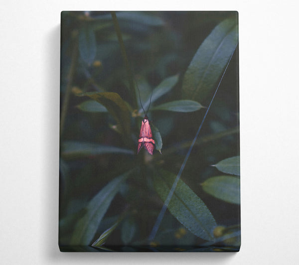  A Canvas Print of Pink Moth In The Green Canvas Art