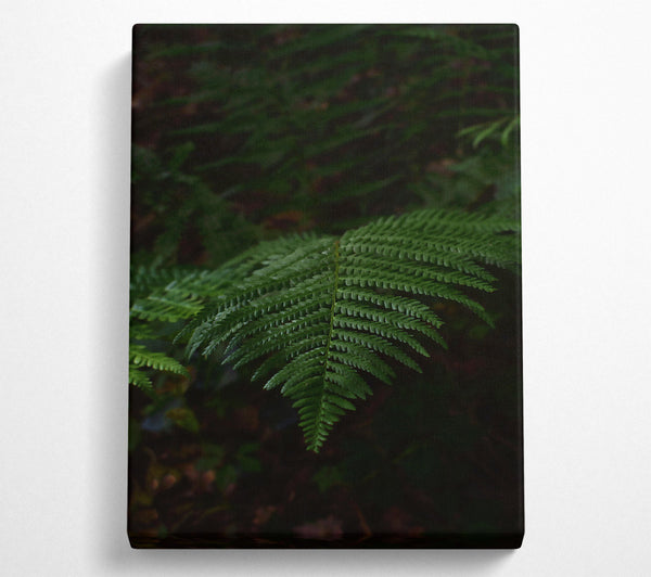  A Canvas Print of Emerald Fern Fronds Canvas Art