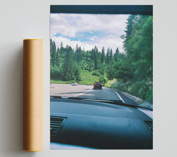 Green Forest Driveway Giclee Print