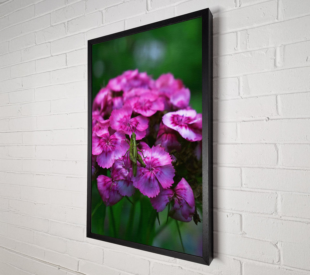  A Canvas Print of Pink Bloom & Green Guest Canvas Art