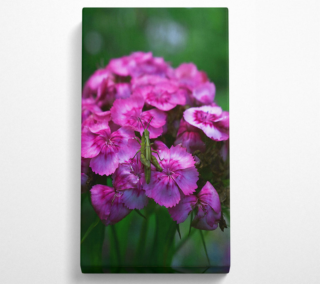  A Canvas Print of Pink Bloom & Green Guest Canvas Art