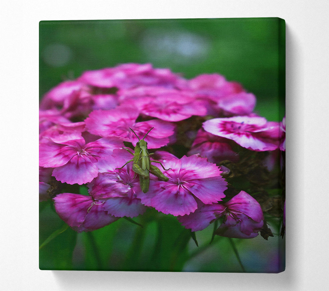  A Canvas Print of Pink Bloom & Green Guest Canvas Art