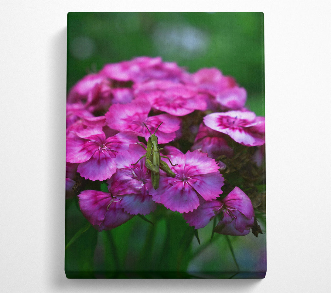  A Canvas Print of Pink Bloom & Green Guest Canvas Art