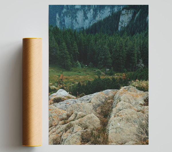 Green Mountain Lichen Poster