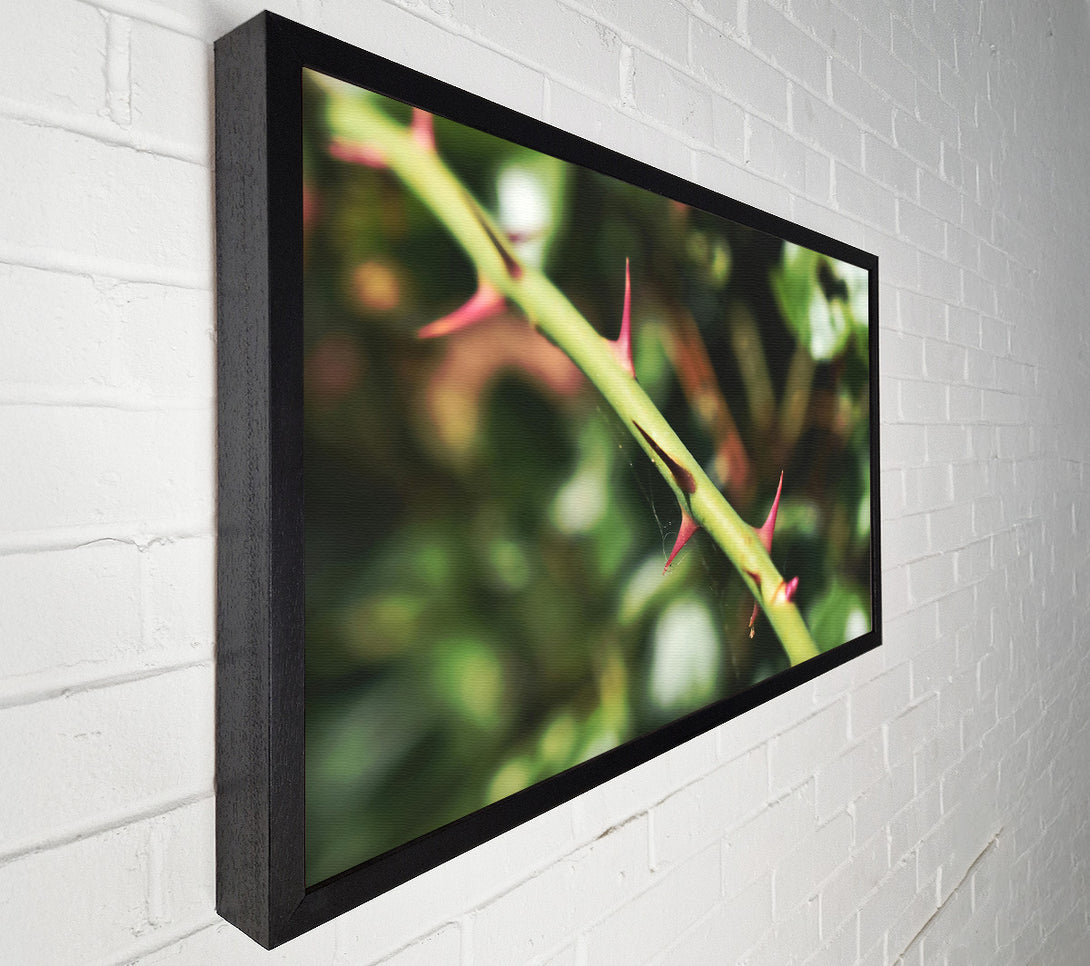  A Canvas Print of Crimson Thorns Embrace Green Canvas Wall Art