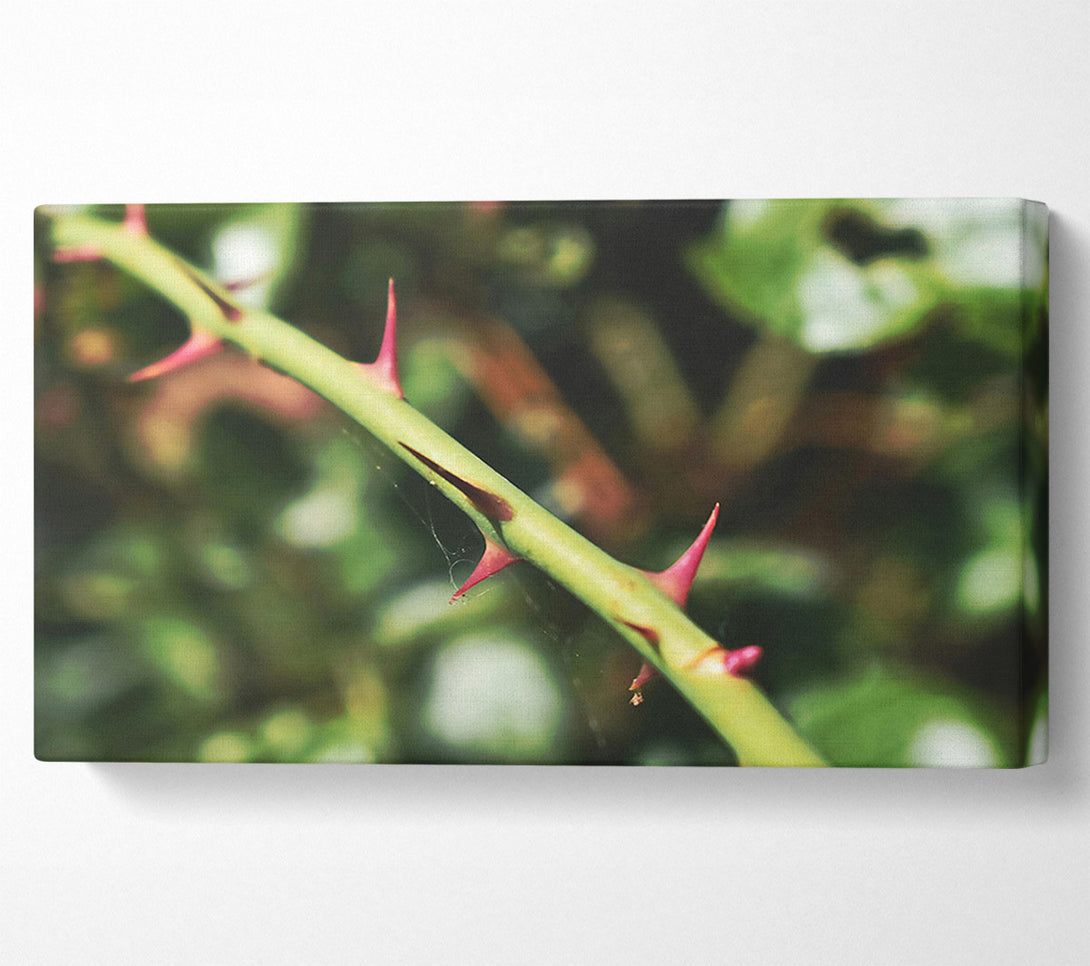  A Canvas Print of Crimson Thorns Embrace Green Canvas Wall Art