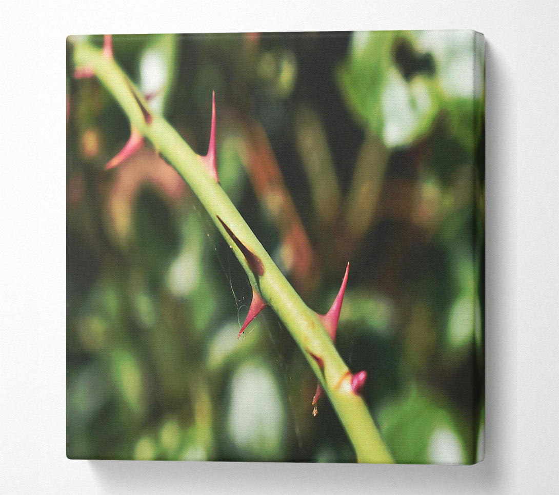  A Canvas Print of Crimson Thorns Embrace Green Canvas Wall Art