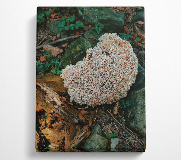  A Canvas Print of Creamy Forest Bloom Canvas Art