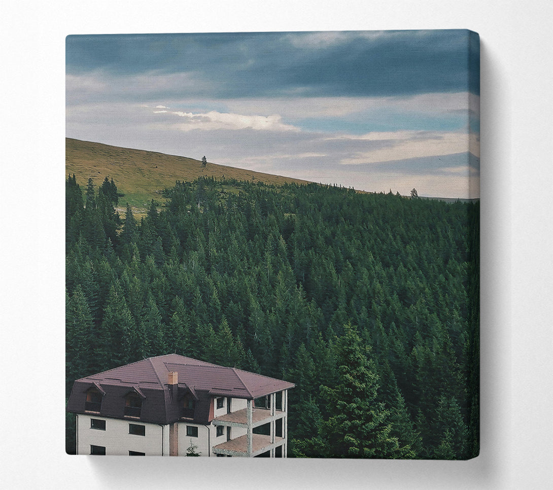  A Canvas Print of Green Roof Solitude Canvas Art