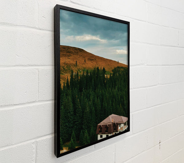 Brown House In The Pines.