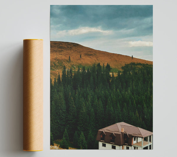 Brown House In The Pines. Print