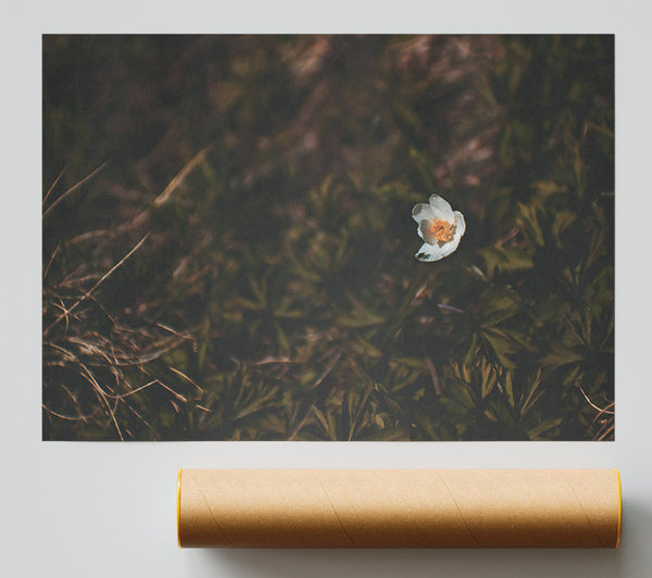 White Bloom In Green Print