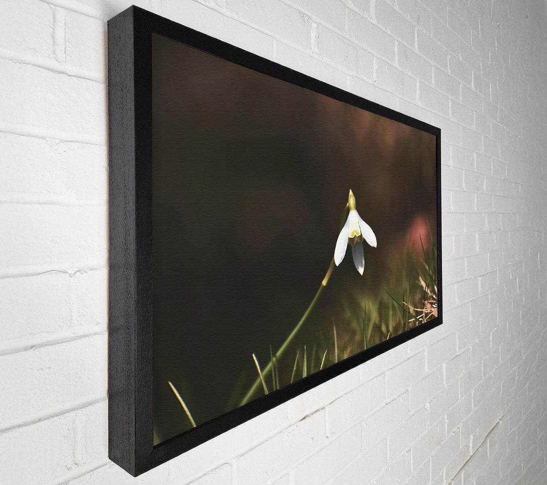  A Canvas Print of White Flower In Green Grass Canvas Wall Art