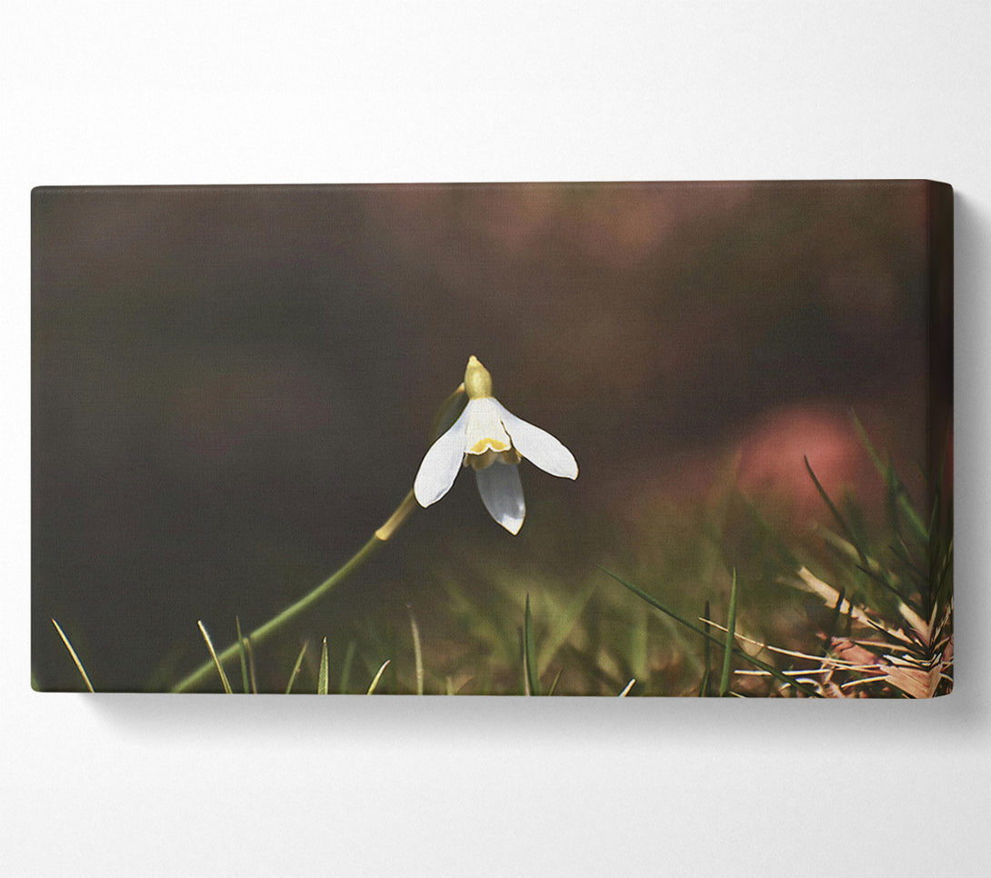  A Canvas Print of White Flower In Green Grass Canvas Wall Art