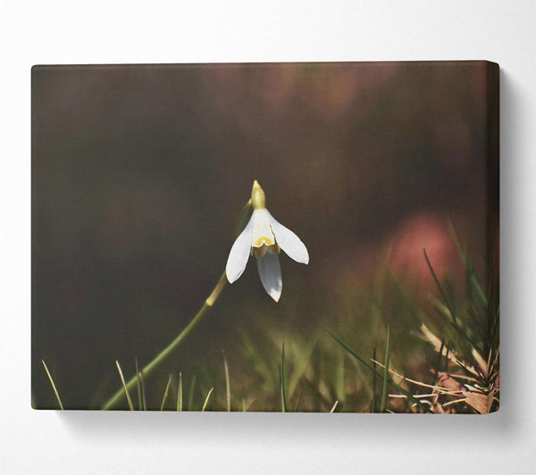 A Canvas Print of White Flower In Green Grass Canvas Wall Art