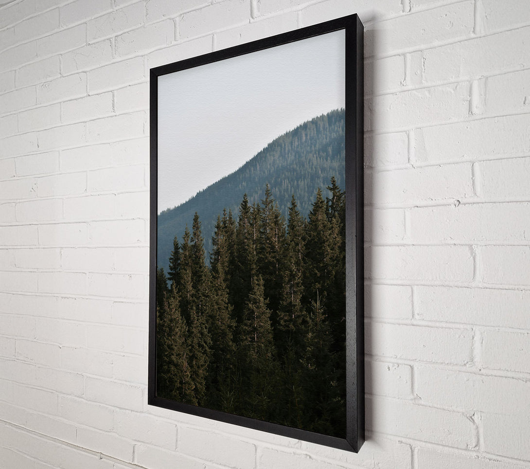  A Canvas Print of Green Silent Mountains Canvas Print
