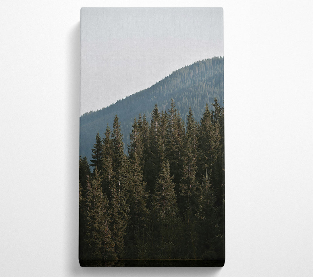  A Canvas Print of Green Silent Mountains Canvas Print
