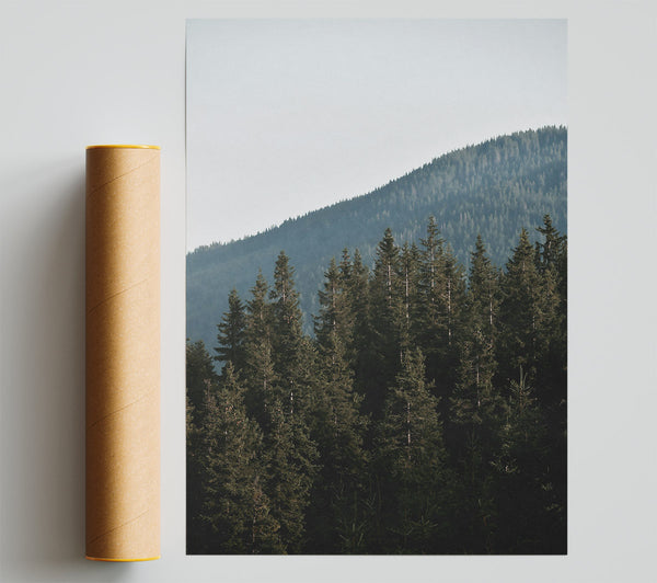 Green Silent Mountains Giclee Print