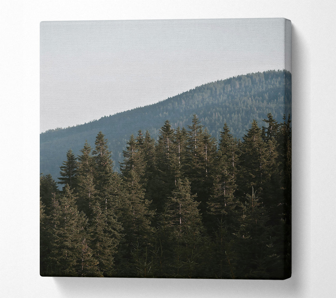  A Canvas Print of Green Silent Mountains Canvas Print