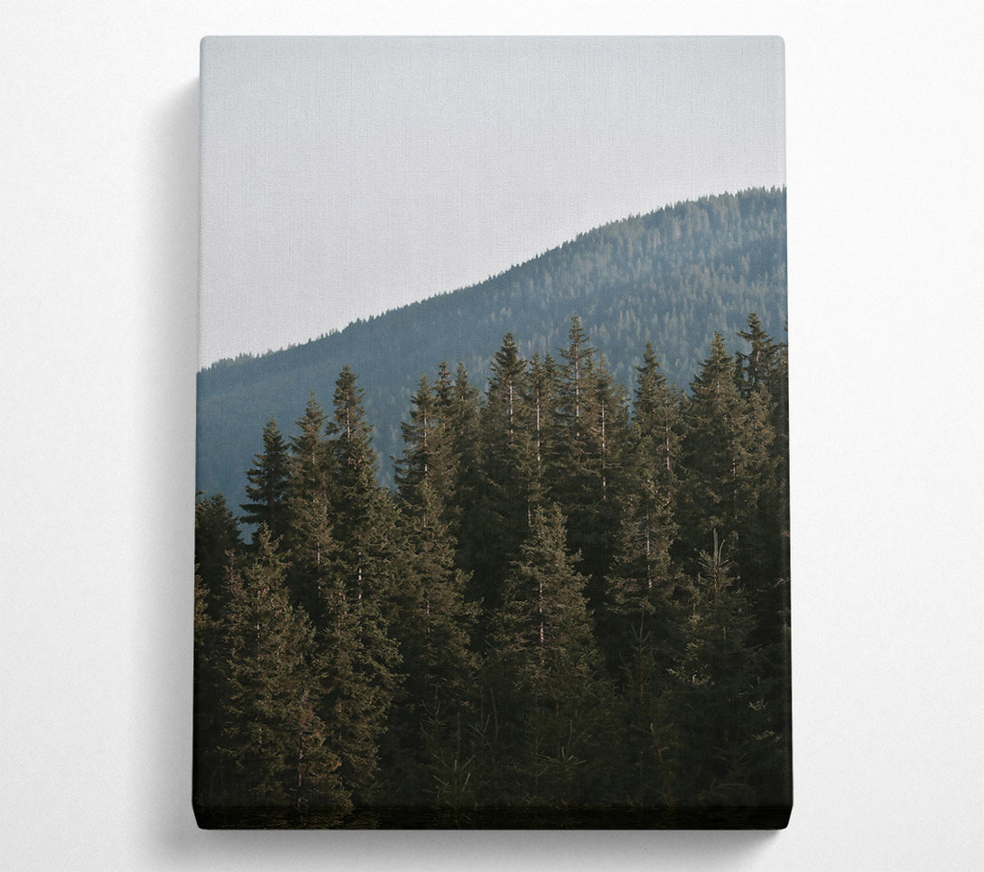  A Canvas Print of Green Silent Mountains Canvas Print