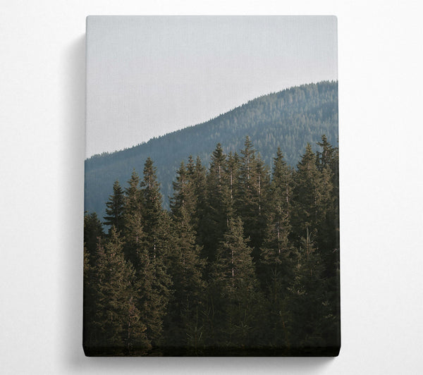  A Canvas Print of Green Silent Mountains Canvas Print