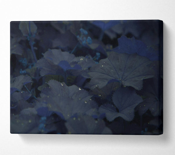  A Canvas Print of Indigo Leaf Dreams Canvas Art